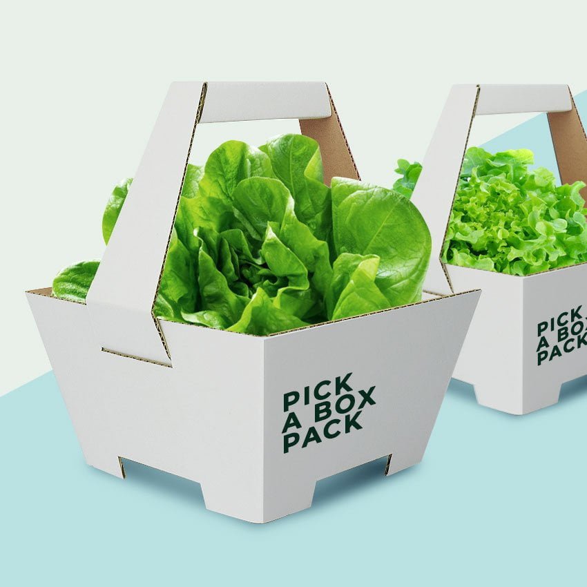 pickaboxpack-die-cut-vecgetable